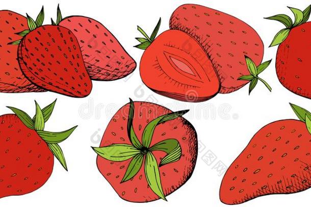 矢量草莓健康的食物.红色的和绿色的在上雕刻墨水艺术.