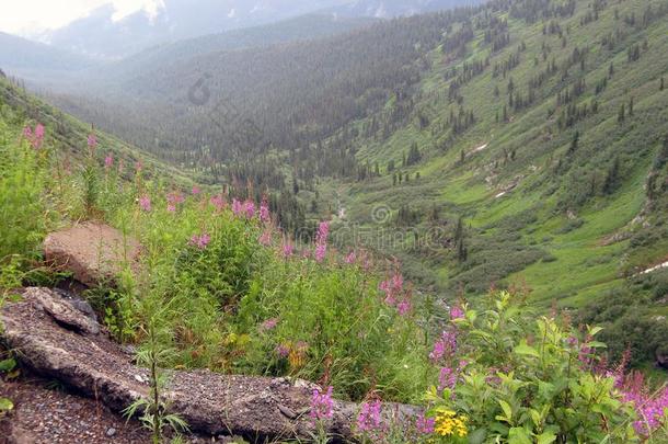 美丽的风景风景优美的风景和山山谷