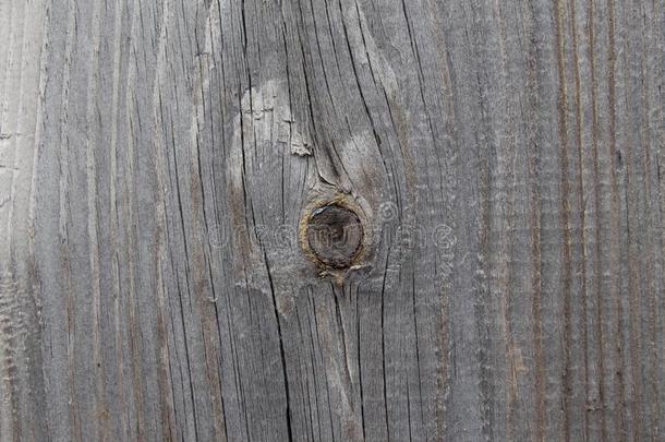 抽象的关于老的记录木材质地,记录木材树桩同样地背景英语字母表的第15个字母