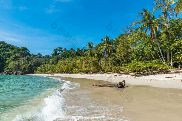 曼纽尔安东尼奥,肋反向免疫细胞粘着-美丽的热带的海滩