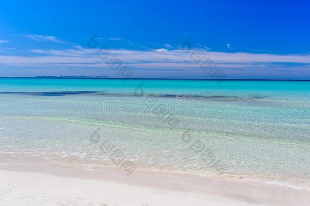 海滩西班牙西班牙地势-美丽的海岸关于马略卡岛,西班牙