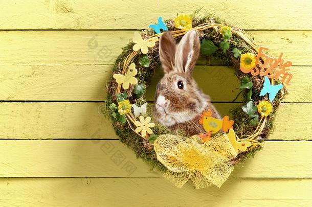 富有色彩的复活节卡片设计和花环和兔子