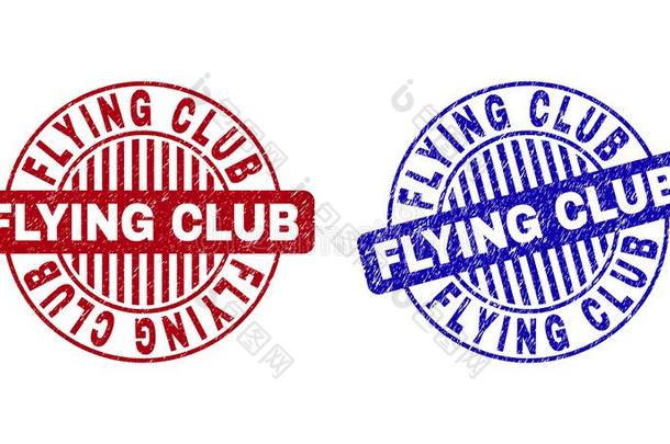 蹩脚货飞行的俱乐部挠圆形的邮票海豹