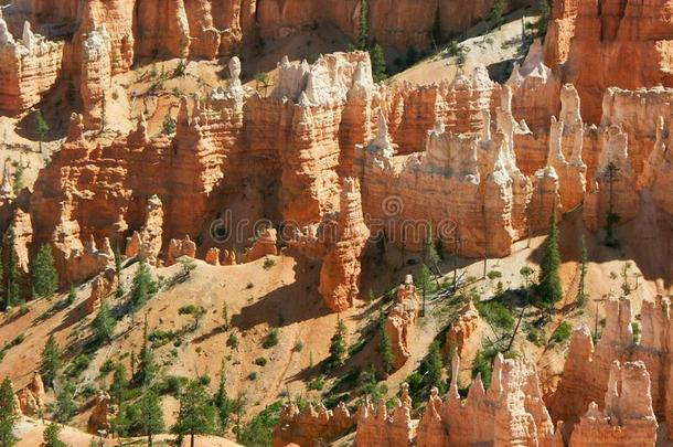 塔尖和树关于峡谷NationalPark布赖斯峡谷国家公园峡谷