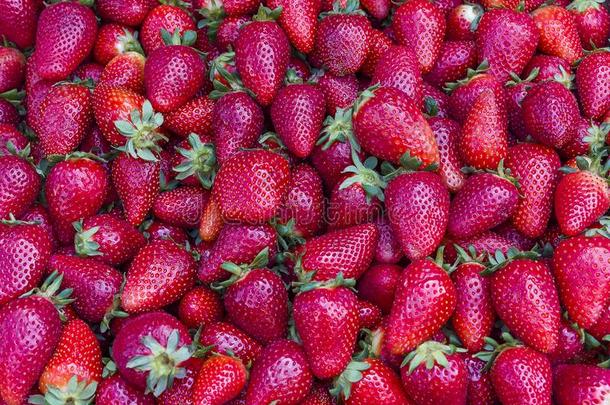 草莓背景.草莓.食物背景.草莓