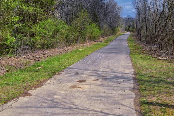 看关于自然和路一起指已提到的人谢尔比底部林荫道路一