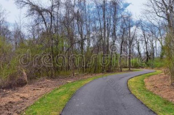 看关于自然和路一起指已提到的人谢尔比底部林荫道路一