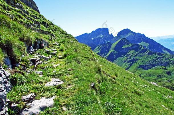 阿尔卑斯山的牧草地和草地向指已提到的人斜坡关于指已提到的人阿尔维斯=moment