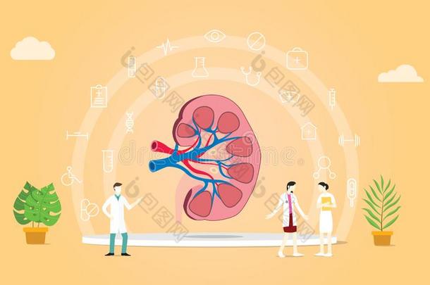 Kidnyes卫生保健和医生人讲话关心和医学的