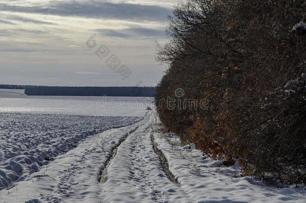 冬风景和泥土路在之间敞开的田和德西杜