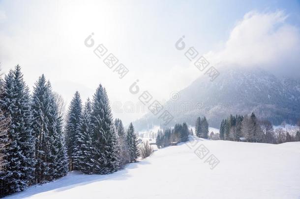 美丽的冬风景采用指已提到的人德国的alkali-tre在edlipopolysaccharide碱处理的脂多糖在奥伯斯多夫,联盟
