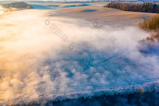 农田采用雾向严寒的morn采用g在日出.美丽的园林景观