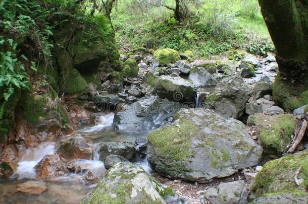 魔力的风景优美的小湾流动的通过山后的雨暴风雨