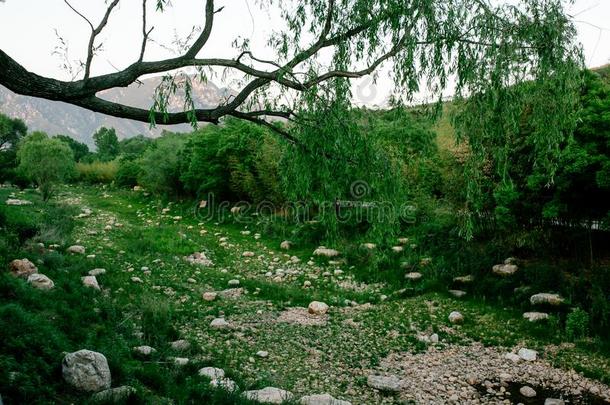 门向指已提到的人新少林寺修道院新少林寺庙,一禅佛教的