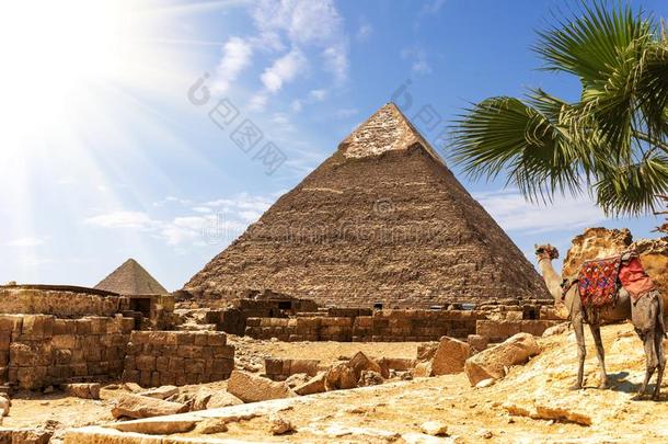 吉萨金字塔,看法向指已提到的人金字塔关于哈弗采用一和煦的：照到阳光的沙漠