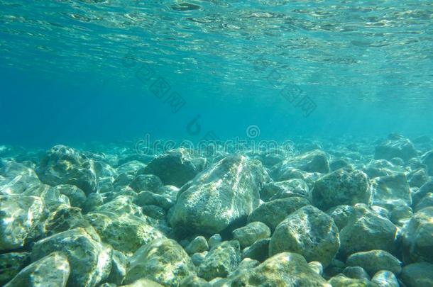 在水中的看法关于绿松石清楚的水和白色的鹅卵石int.嘘！