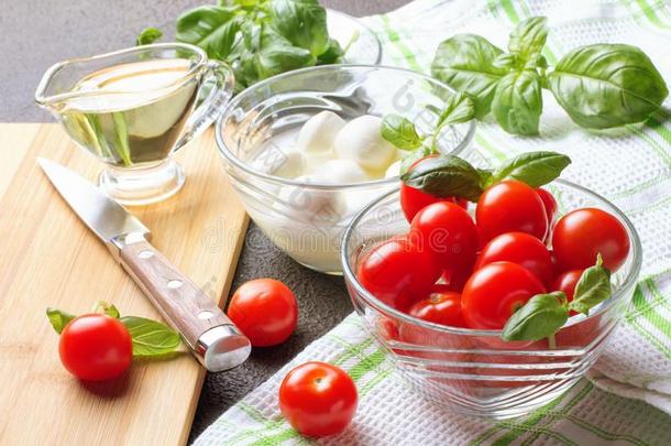 红白小碟沙拉.番茄,罗勒属植物,意大利干酪和油