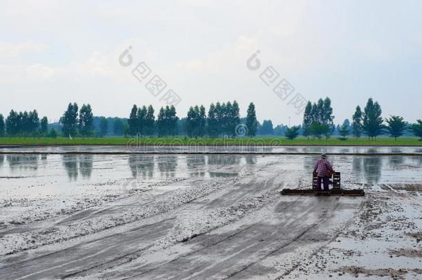 农<strong>民生</strong>活必须做的事aux.构成疑问句和否定句稻det.每个年.