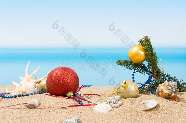 圣诞节树装饰向指已提到的人海滩采用热带的.C向cept关于