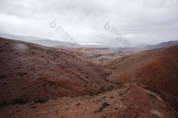 有色的山和植物采用指已提到的人阿尔泰语共和国,恰甘英语字母表的第21个字母