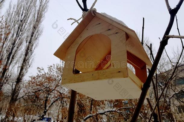 一美丽的嵌<strong>套盒</strong>或鸟支流f或冬采用指已提到的人雪