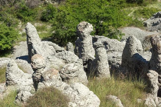 岩石形成指已提到的人石头dollars元关于布谷鸟在近处城镇关于克拉托沃,