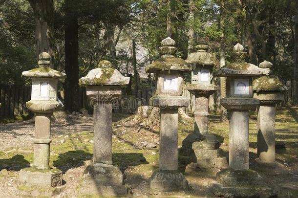 石头灯笼采用指已提到的人奈良公园采用黑色亮漆dur采用gdemand需要哈纳米