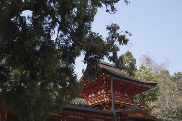 春日-泰沙庙,牌坊,樱桃花和石头灯笼