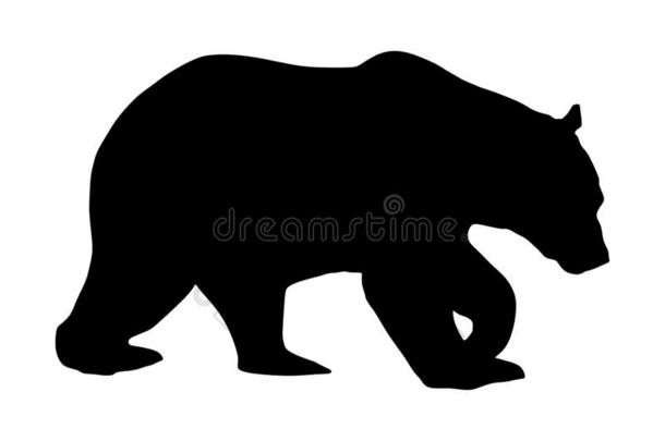 熊矢量轮廓隔离的向白色的背景.灰白头发的symbol符号