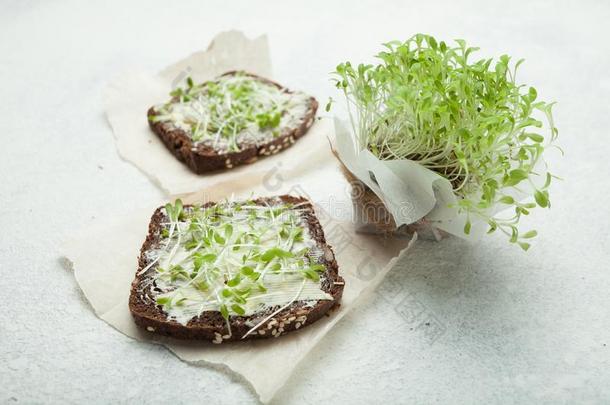 饮食的食物为重量损失和健康状况从蔬菜新芽,