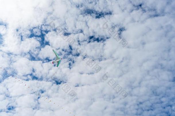 风筝飞行的采用指已提到的人天经过指已提到的人云.风筝节日