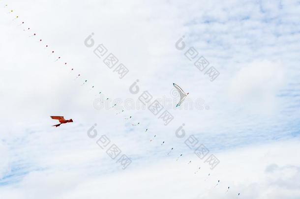 风筝飞行的采用指已提到的人天经过指已提到的人云.风筝节日
