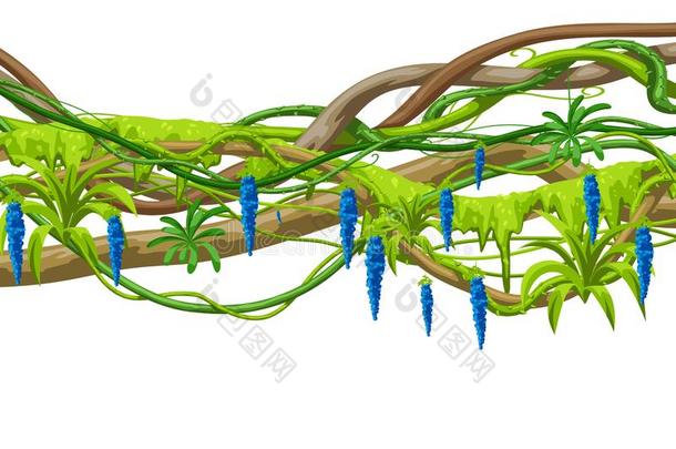 反常的野生的<strong>藤本植物</strong>树枝背景.丛林<strong>藤本植物</strong>植物.
