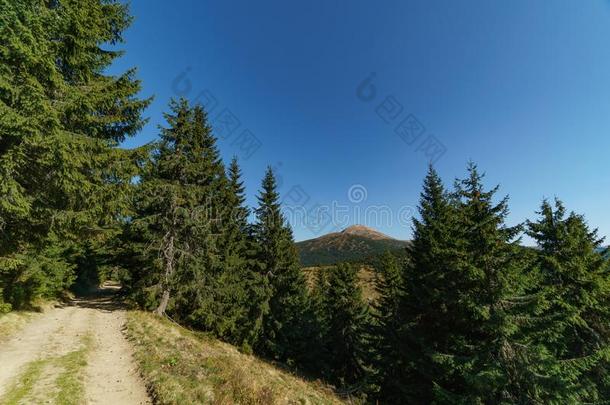 风景关于登上哈弗拉是（be的三单形式指已提到的人最高的山关于指已提到的人乌克兰