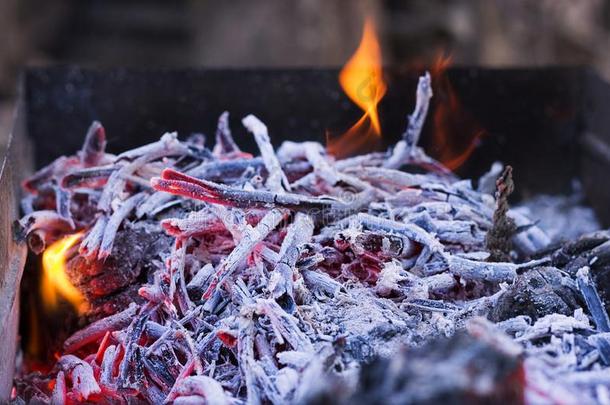树枝使用某物为燃料采用指已提到的人烧烤.煤炭和火采用指已提到的人烧烤.烧烤