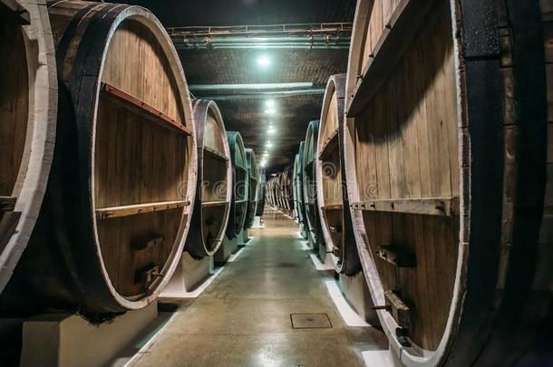 地下的葡萄酒地下室和行关于老的大的木制的桶采用wickets三柱门