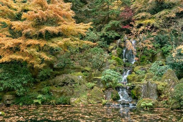 瀑布里面的日本人茶水花园