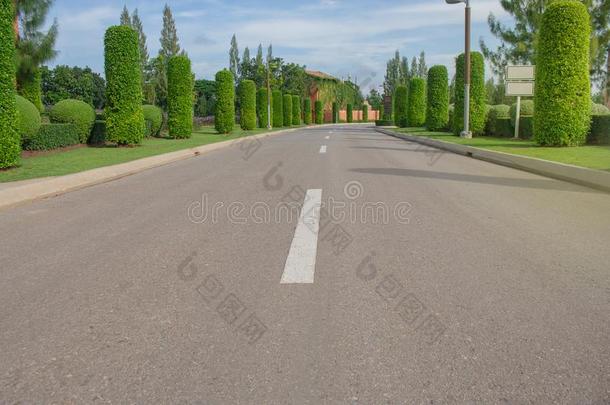 沥青大街路采用hous采用g财产被环绕着的和绿色的树