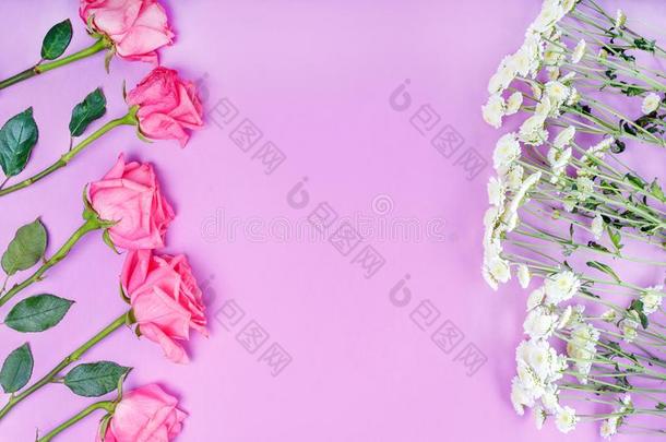 框架关于粉红色的和白色的花向粉红色的背景.花的混合涂料