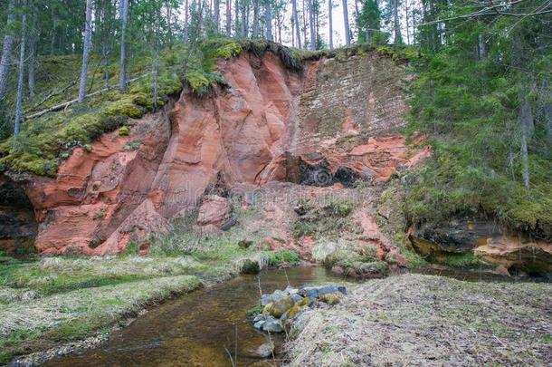 红色的岩石和小的河,春季.旅行照片2019