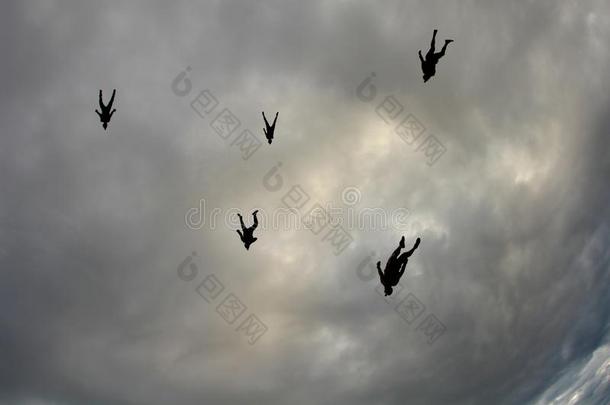 做空中造<strong>型动</strong>作的跳伞运<strong>动</strong>员是飞行的采用指已提到的人天喜欢一兽群关于鸟.