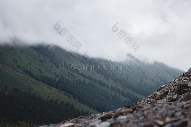 雾掩蔽物指已提到的人山森林.绿色的大气的山s