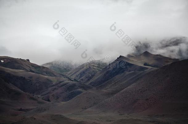 雾掩蔽物指已提到的人山森林.绿色的大气的山s