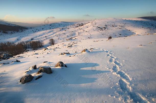 踪迹关于远足者和雪鞋照片向指已提到的人雪