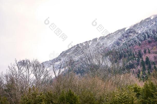 山关于指已提到的人加泰罗尼亚语比利牛斯山脉,美国国际集团Ã¼西班牙西班牙Tort西班牙西班牙,西班牙