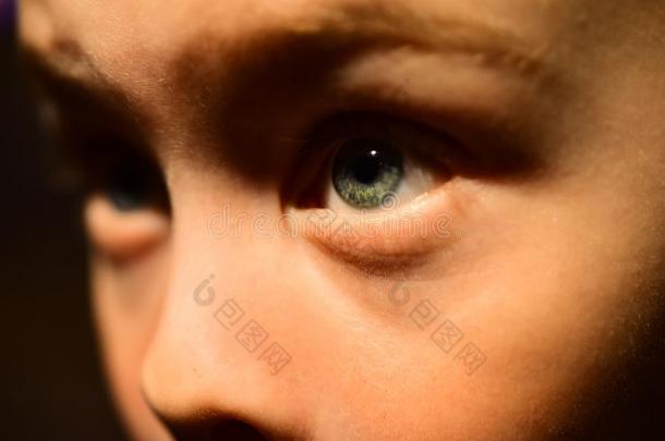 我aux.用以构成完成式及完成式的不定式很贫穷的视觉.小的男孩和贫穷的眼睛健康状况.狭的