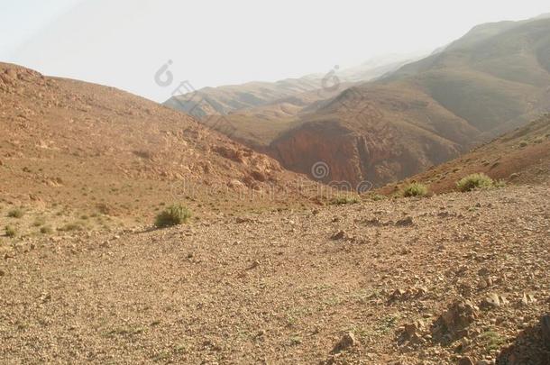 多雾的高的地图集山