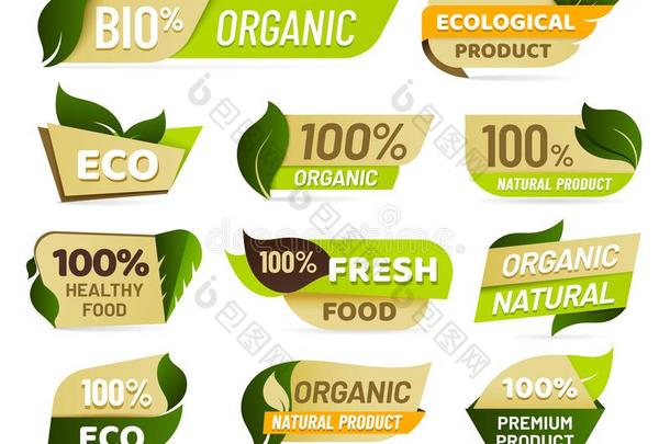 严格的素食主义者象征.新鲜的自然产品徽章,健康的素食者folio编页码