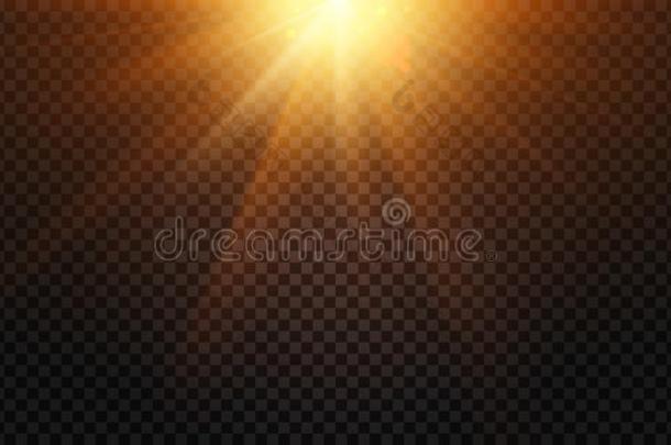 暖和的光微量.魔法光s透镜闪耀,太阳使闪光和灯荧光标记抗体
