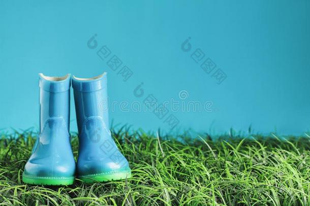 蓝色雨擦靴人一次采用指已提到的人草